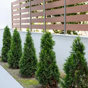 Casa Maresol Ξενοδοχείο με διαμερίσματα